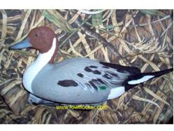 Pintail Flocking Kit
